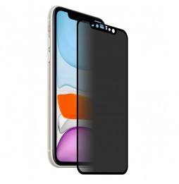 Anti-spy Full Screen Tempered Glass Protector for iPhone 11 / XR at €15.95