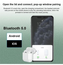 WK T5 Mini iDeal Series Bluetooth 5.0 TWS True Wireless Stereo Earphone at €26.15