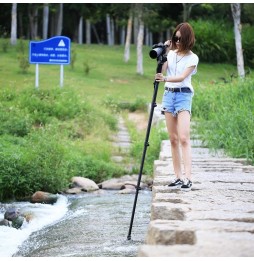 PULUZ Four-Section Telescoping Aluminum-magnesium Alloy Self-Standing Monopod with Support Base Bracket at 130,00 €