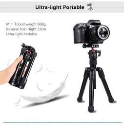 PULUZ Pocket Mini Microspur Photos Support de trépied en alliage de magnésium avec rotule à 360 degrés pour reflex numérique ...