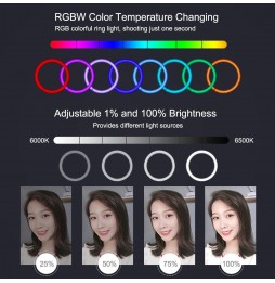 PULUZ 11,8 Zoll 30 cm RGBW-Licht + 1,1 m Stativhalterung Gebogene Oberfläche Dimmbare LED Zweifarbige Temperatur LED-Ring Sel...