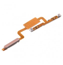 Power + Volume Buttons Flex Cable for Samsung Galaxy Tab S5e SM-T720 / SM-T725 (Gold) at 9,90 €