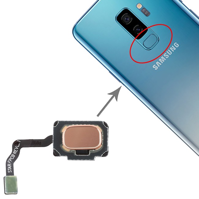 Fingerprint Sensor Flex Cable for Samsung Galaxy S9+ SM-G965 (Gold) at 12,85 €
