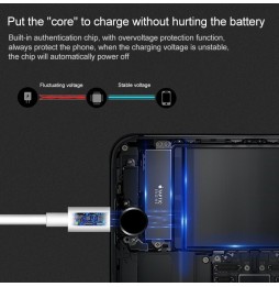 Câble Lightning vers USB pour iPhone, iPad, AirPods 1m à 10,95 €