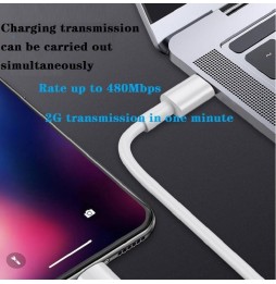 20W Fast Charger + USB-C / Type-C to Lightning Cable 1m at 24,95 €