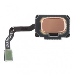 Fingerprint Sensor Flex Cable for Samsung Galaxy S9 SM-G960 (Gold) at 12,85 €