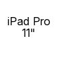 iPad Pro 11"