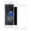 iPhone 7 Plus Bildschirm Glas